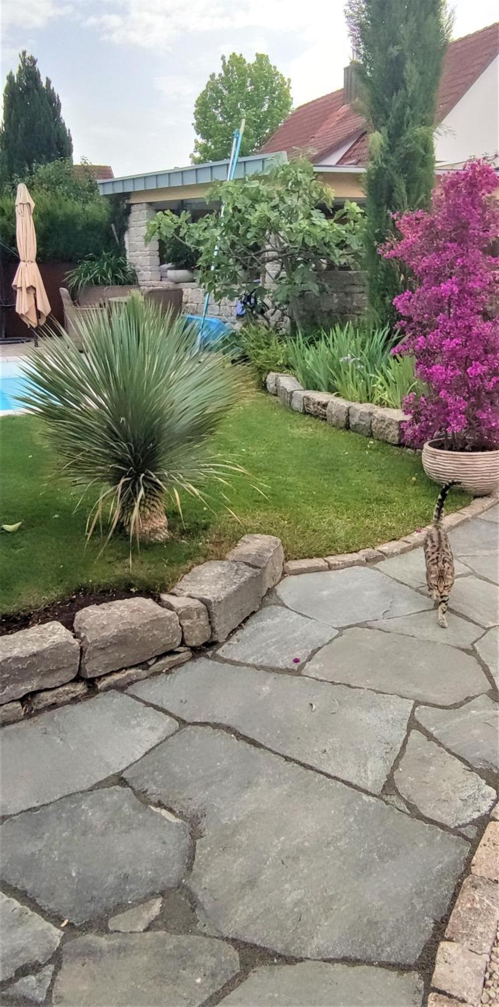 Bel Giardino Apartment Friedrichshafen Luaran gambar