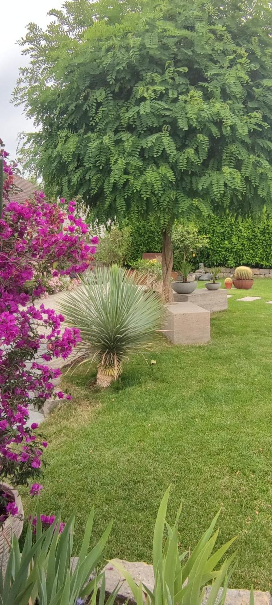 Bel Giardino Apartment Friedrichshafen Luaran gambar
