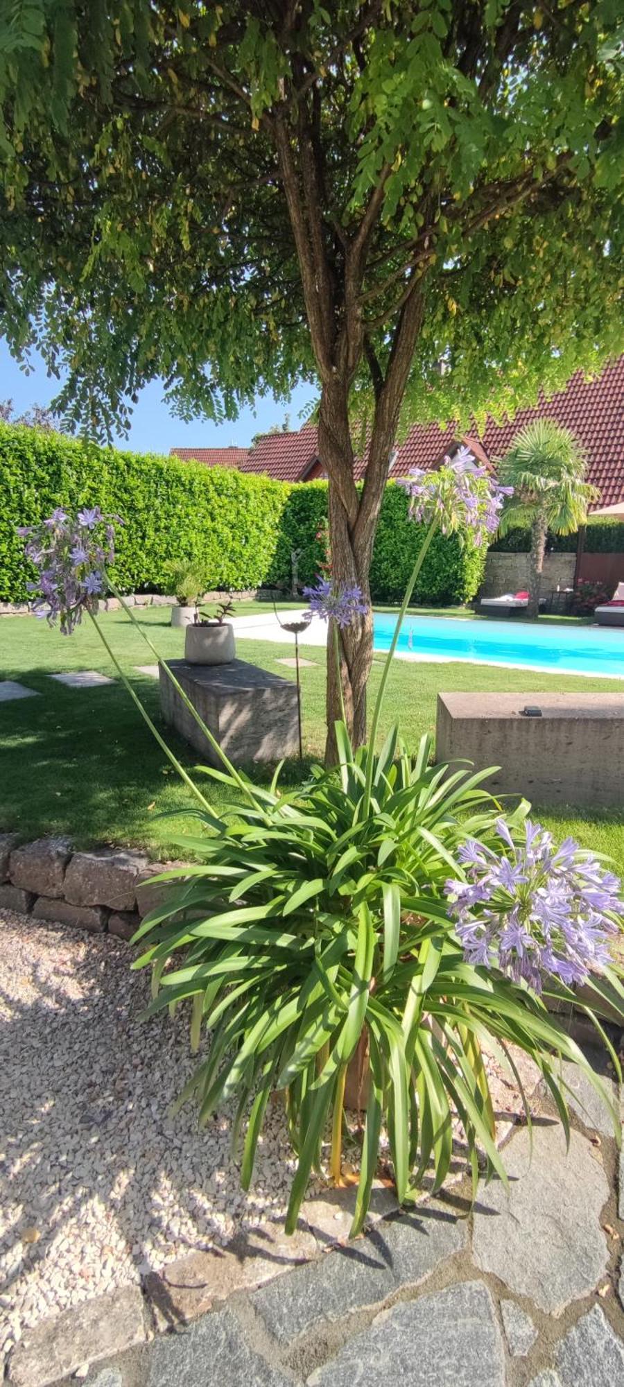 Bel Giardino Apartment Friedrichshafen Luaran gambar