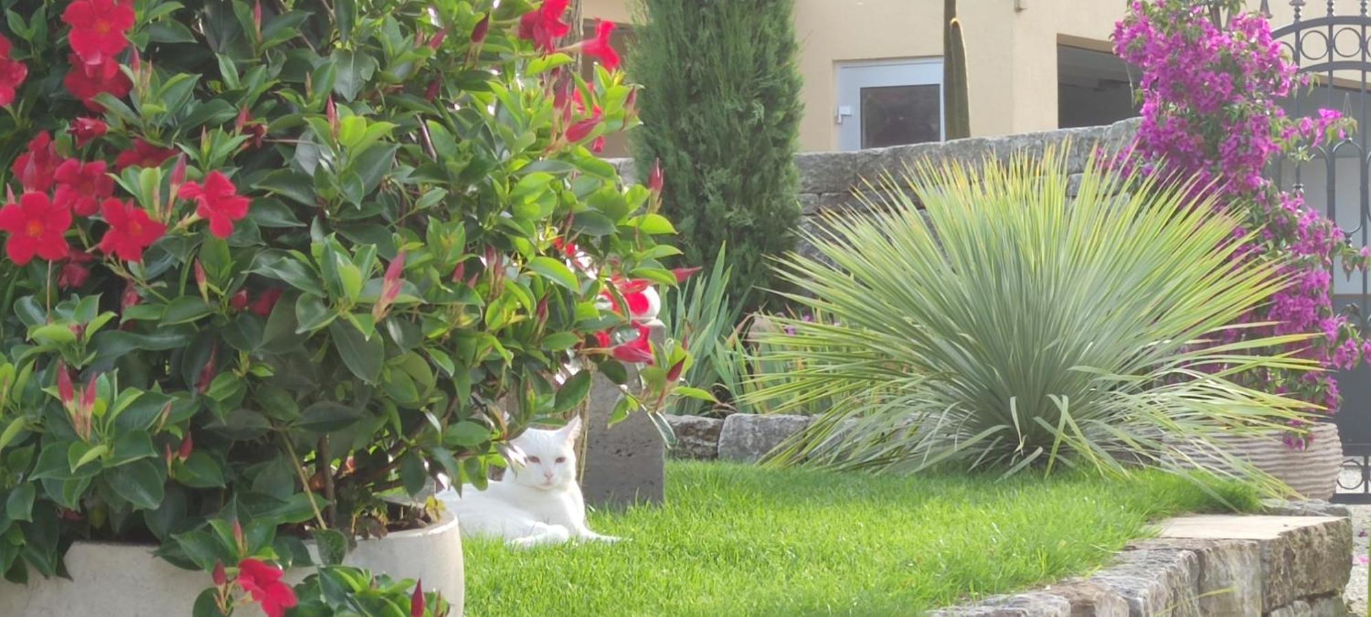 Bel Giardino Apartment Friedrichshafen Luaran gambar